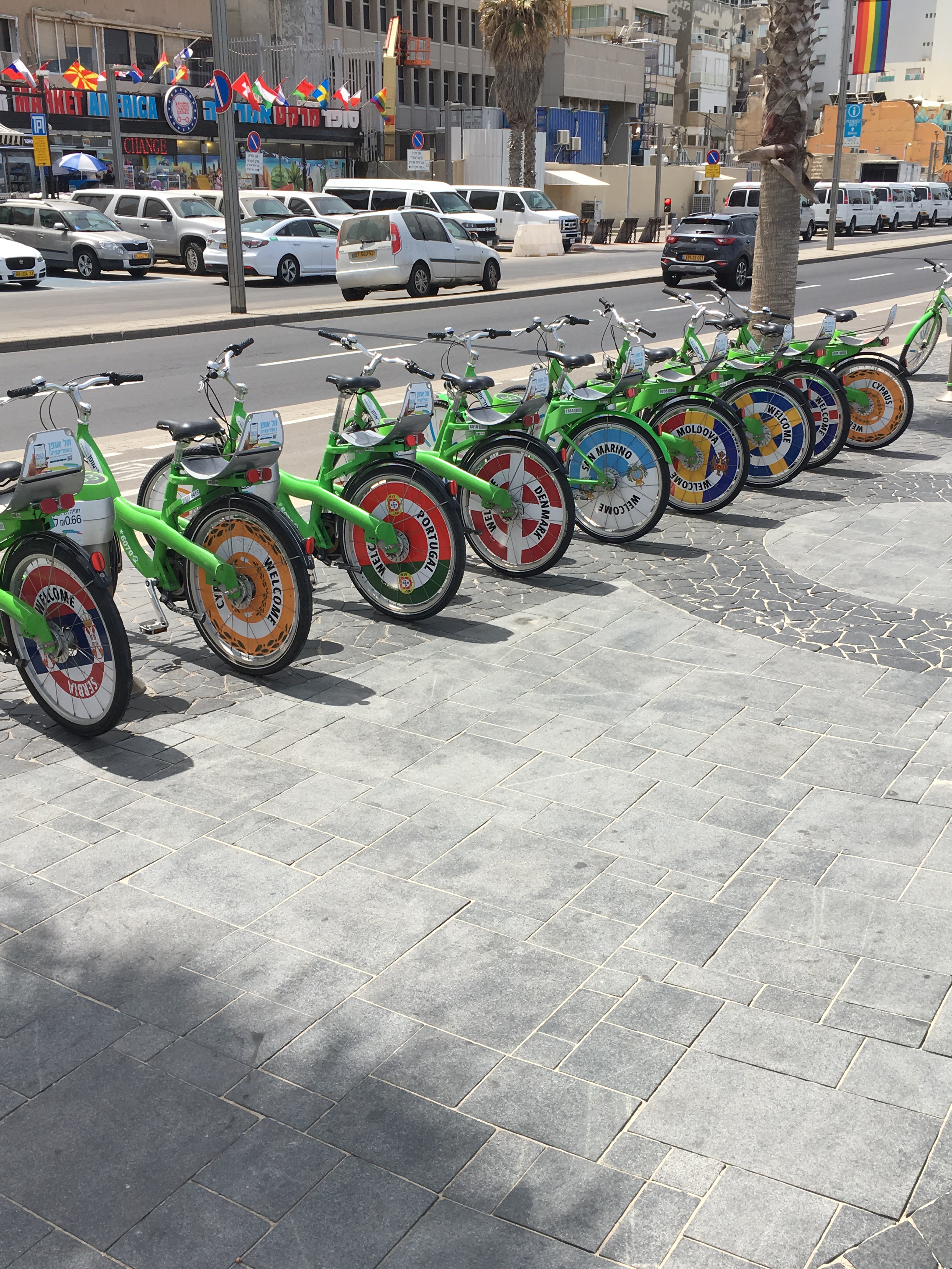 Rental Bicycles in Tel Aviv. Brownell 2019